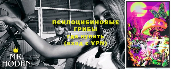 МДПВ Абдулино