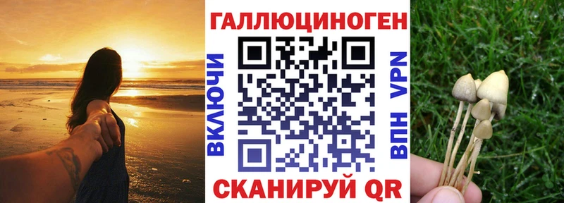 где можно купить наркотик  Сысерть  Псилоцибиновые грибы Magic Shrooms 