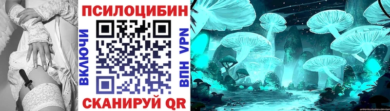 Псилоцибиновые грибы Magic Shrooms Сысерть