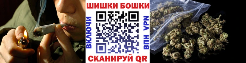 МАРИХУАНА план  Сысерть 